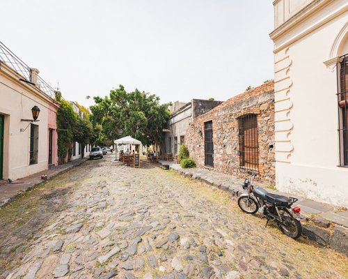 A quiet street in Colonia Roma with trees